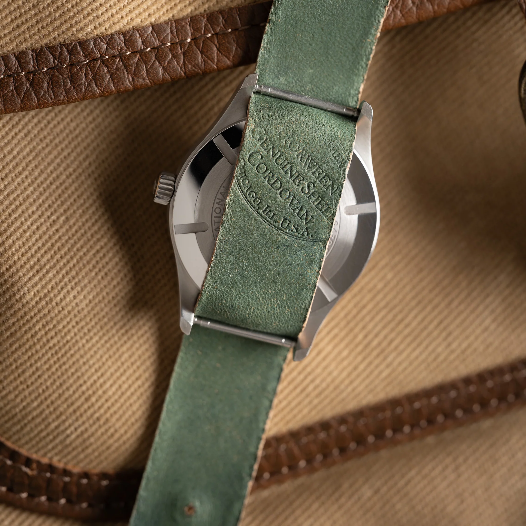 Safari Shell Cordovan Single-Pass Strap - Image 5
